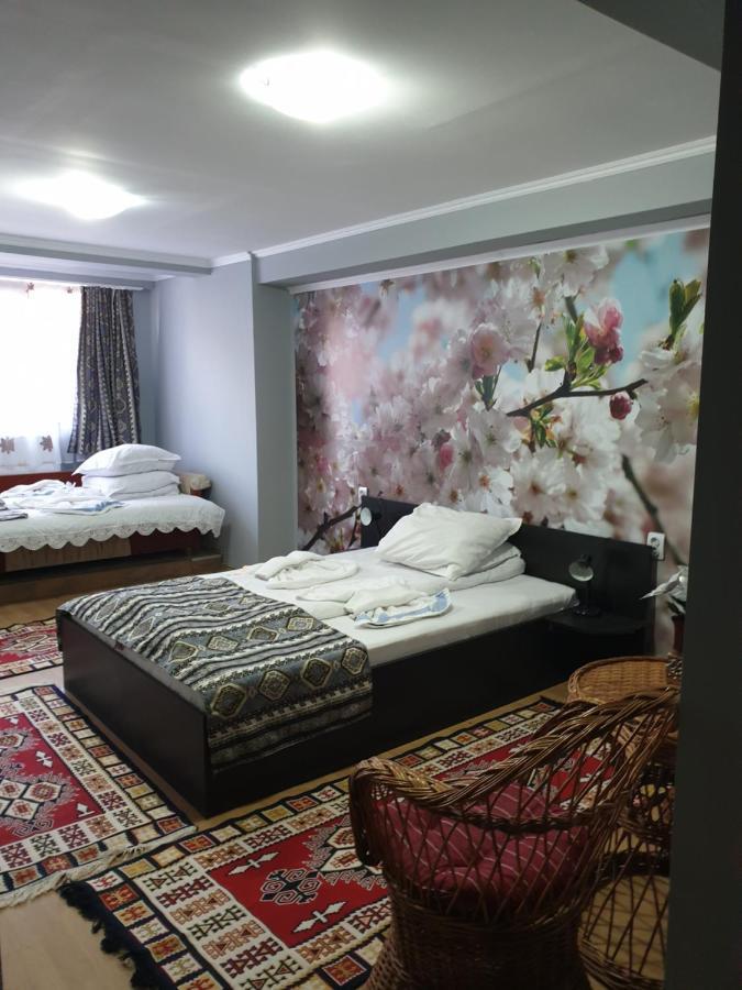 Vila Muntii Bucegi & Spa บราน ภายนอก รูปภาพ
