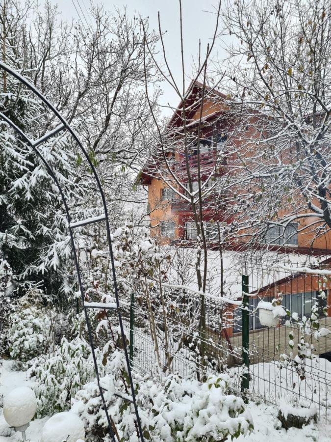Vila Muntii Bucegi & Spa บราน ภายนอก รูปภาพ