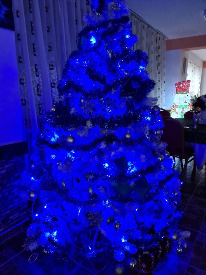 Vila Muntii Bucegi & Spa บราน ภายนอก รูปภาพ