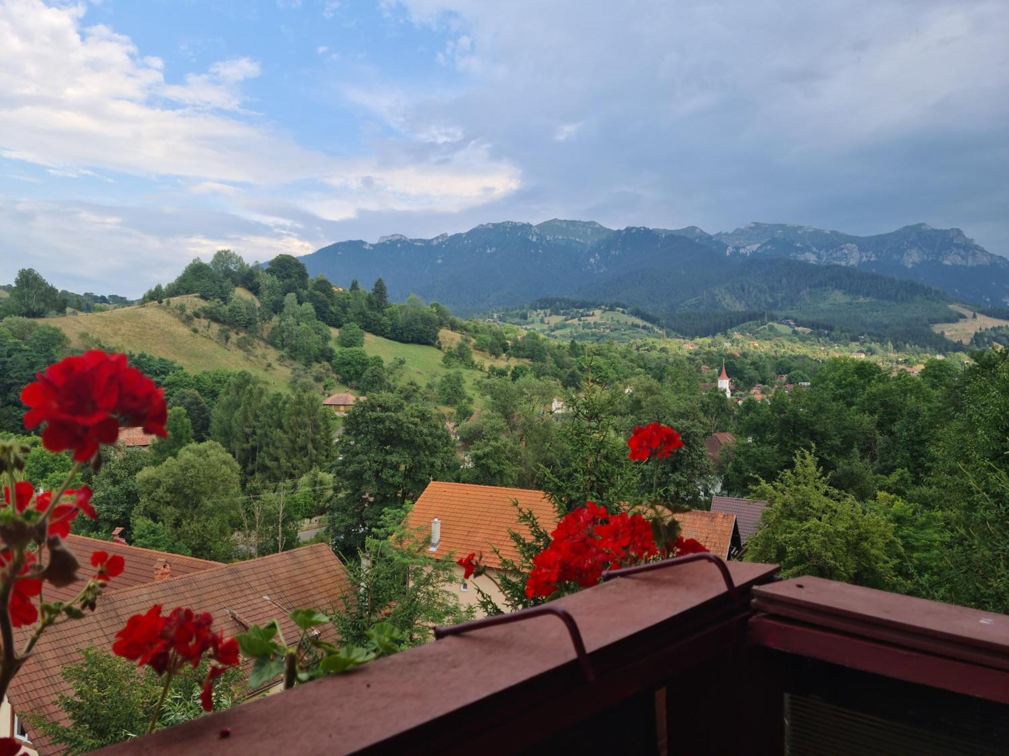 Vila Muntii Bucegi & Spa บราน ภายนอก รูปภาพ
