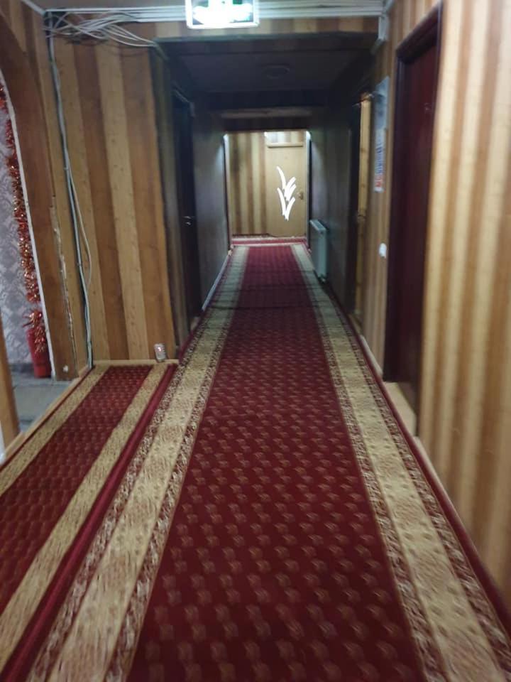 Vila Muntii Bucegi & Spa บราน ภายนอก รูปภาพ