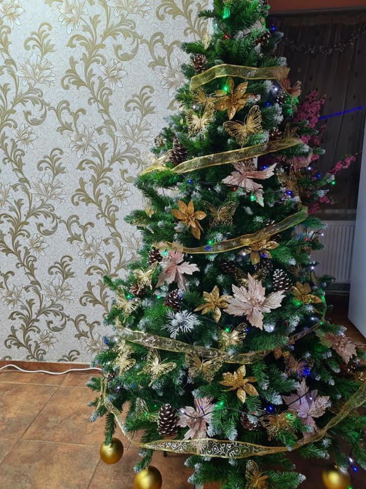 Vila Muntii Bucegi & Spa บราน ภายนอก รูปภาพ