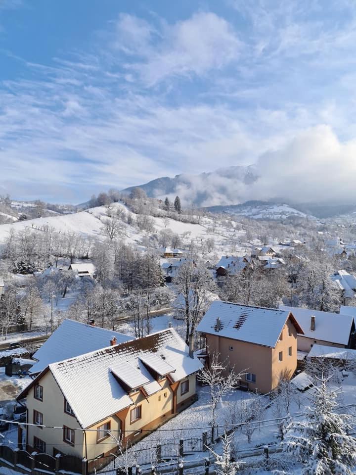 Vila Muntii Bucegi & Spa บราน ภายนอก รูปภาพ